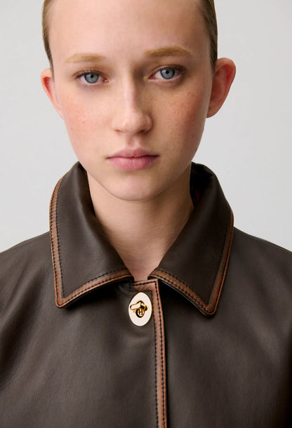 DARK BROWN