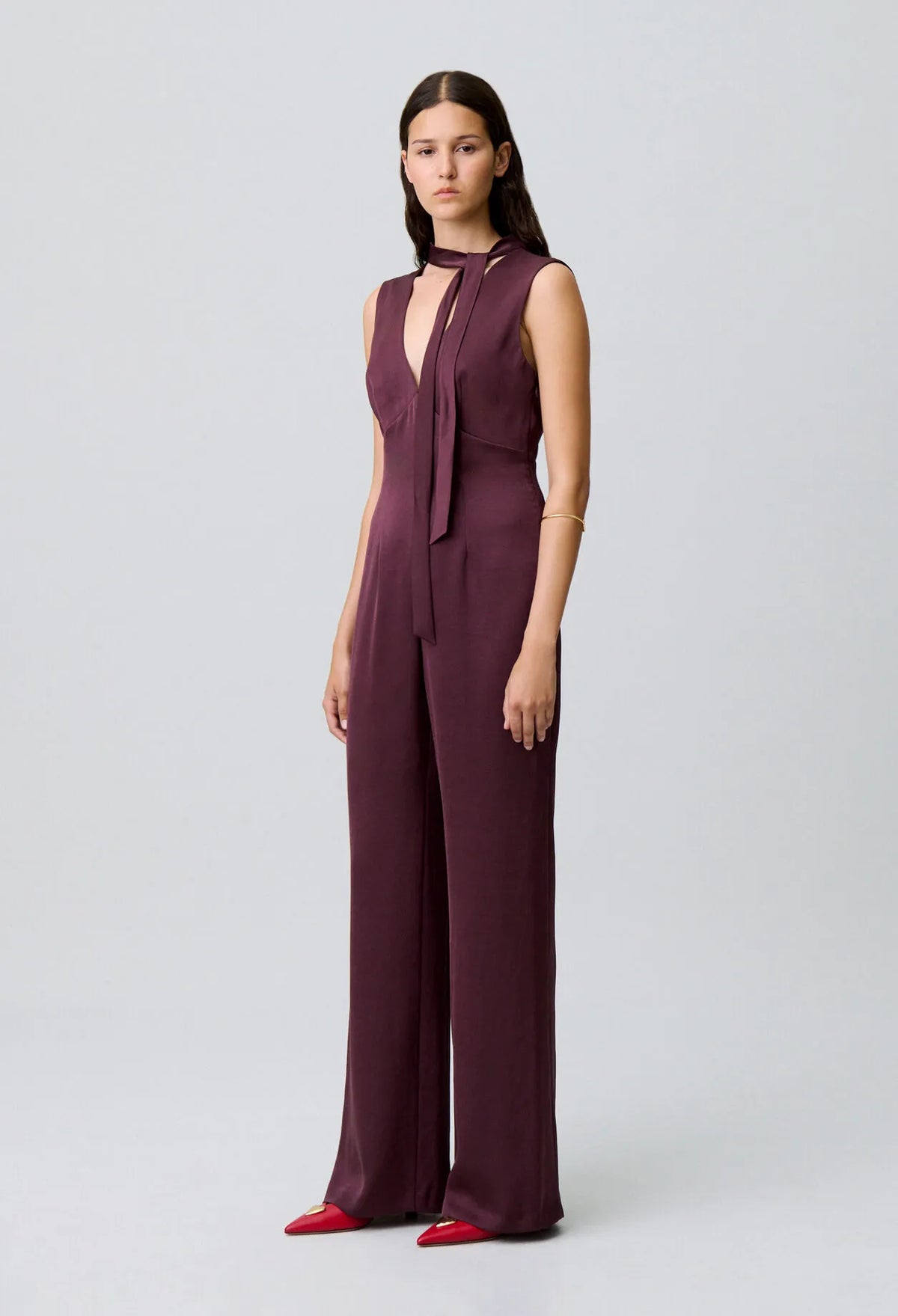 AUBERGINE