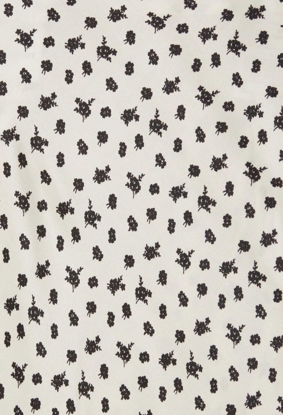 LIGHT PRINT