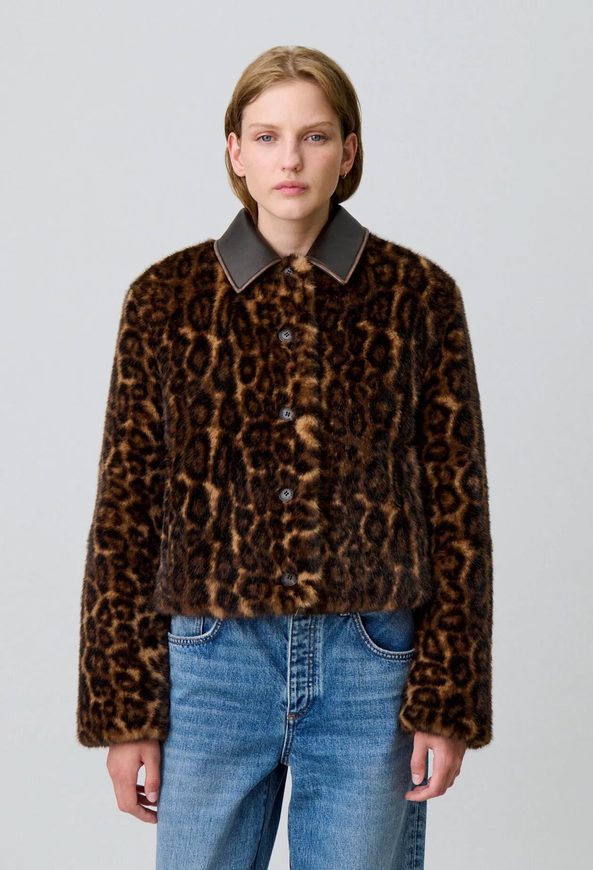 LEOPARD