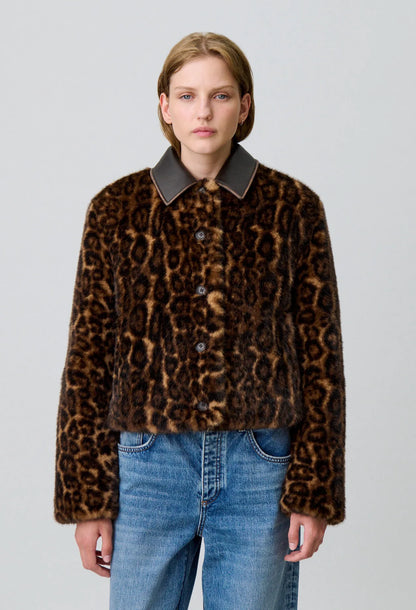 LEOPARD
