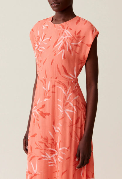 LIGHT PRINT